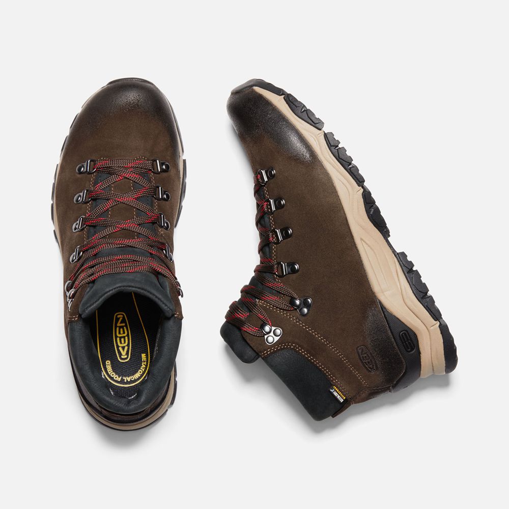 Bottes de Randonnée Keen Homme Marron | Feldberg Apx Waterproof | IESPX-1923